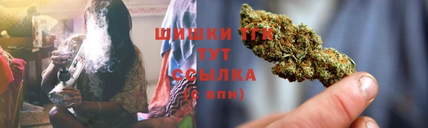 гашик Балахна