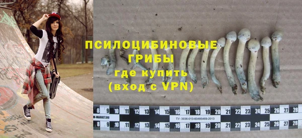 гашик Балахна