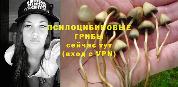 гашик Балахна