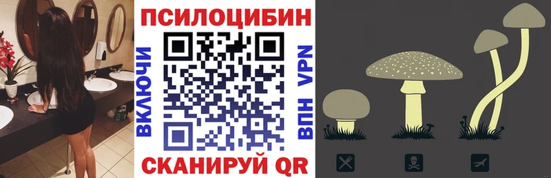 Галлюциногенные грибы Magic Shrooms наркота Новоуральск